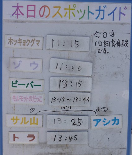 ２月５日の予定表