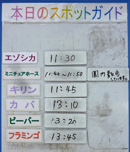 ２月６日の予定表