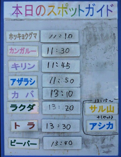 ２月１１日の予定表