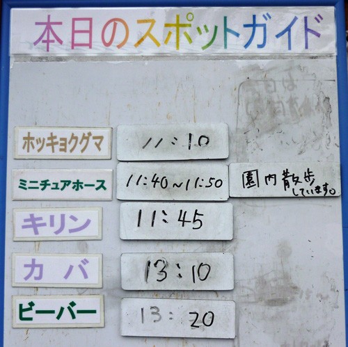２月１２日の予定表