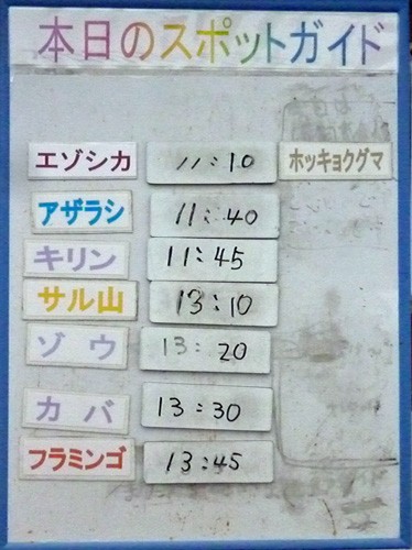 ２月１３日の予定表