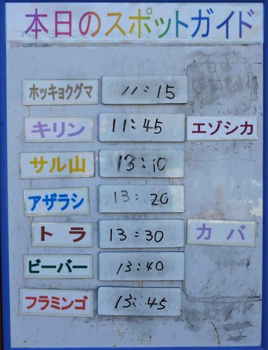 ２月１９日の予定表