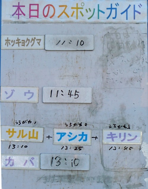 ２月２０日の予定