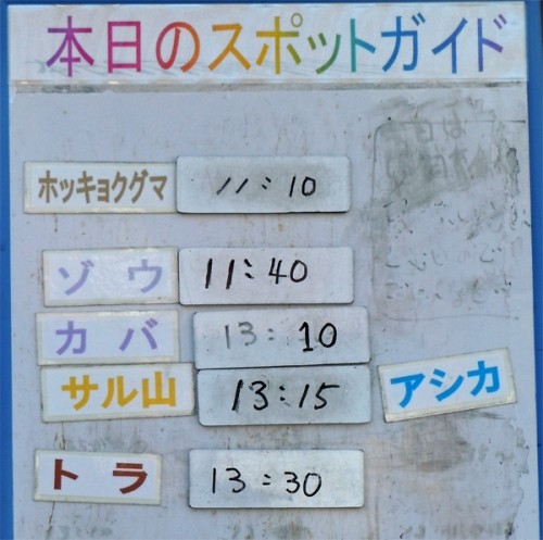 ２月２６日の予定