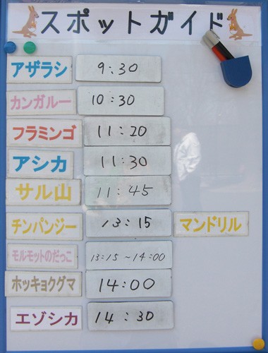 5月3日の予定表