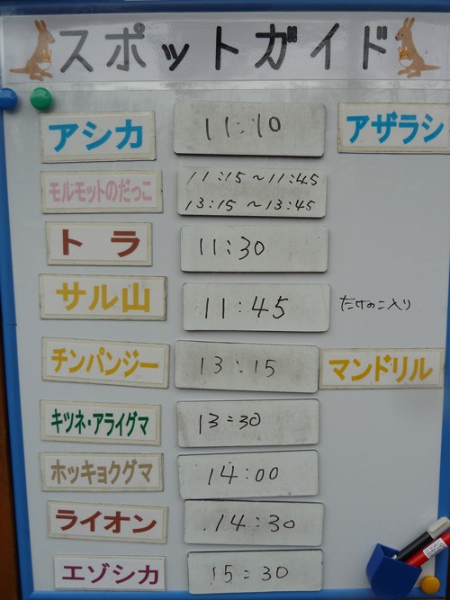 5月4日の予定表