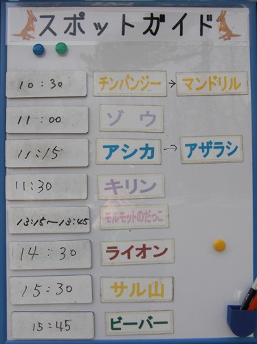 5月6日の予定表