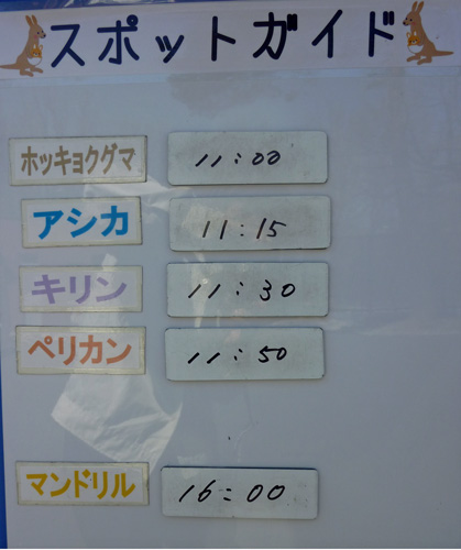 5月11日の予定表