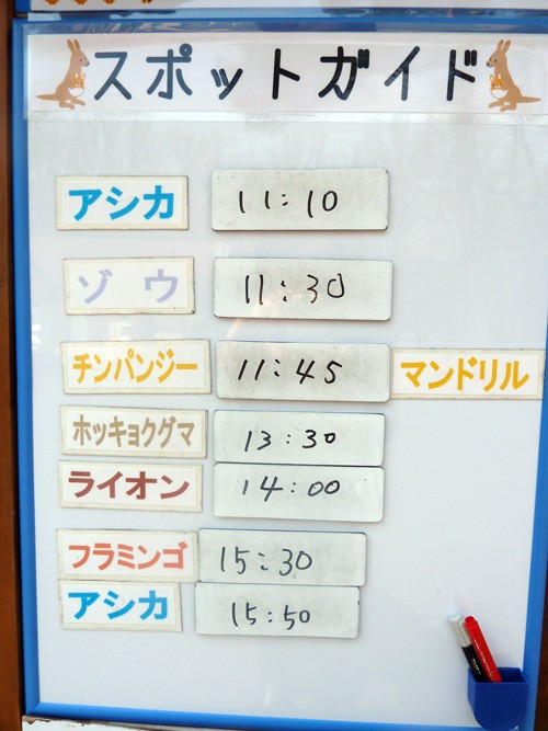 5月16日の予定表