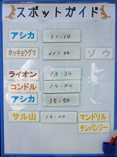 5月17日の予定表