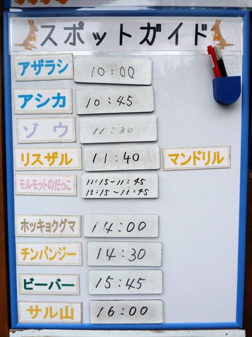 5月22日の予定表