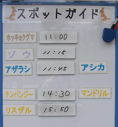 5月25日の予定表