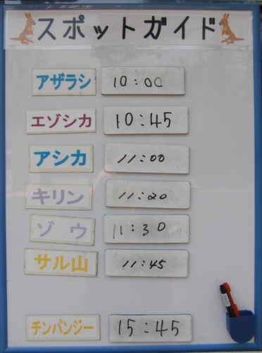 5月26日の予定表