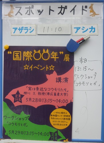 5月29日の予定表