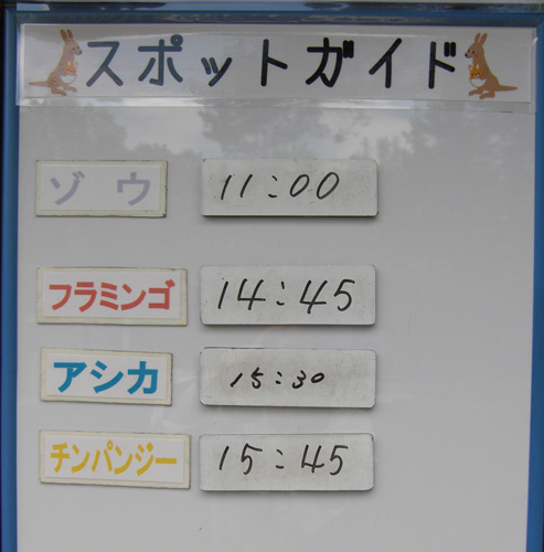 6月6日の予定表