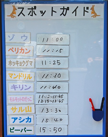 6月11日のスポットガイド