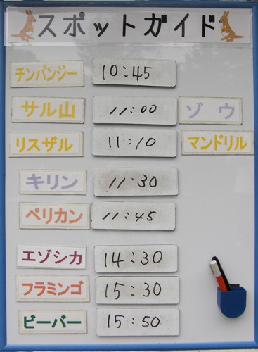 6月12日の予定表