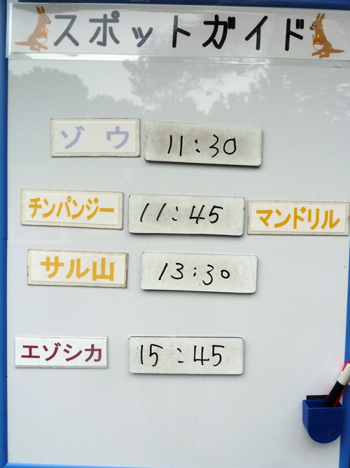 6月14日の予定表