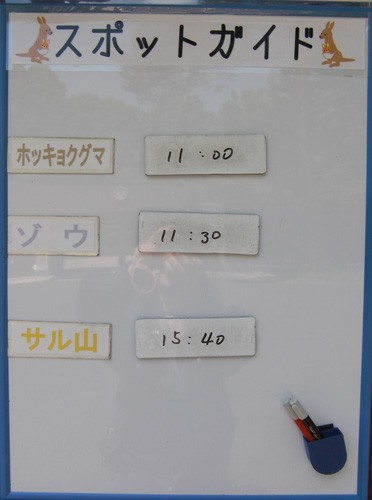 6月17日の予定表