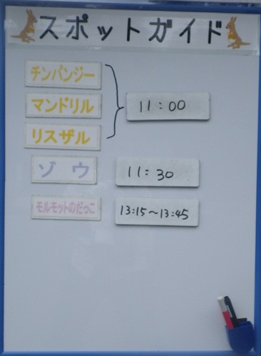 6月18日の予定表