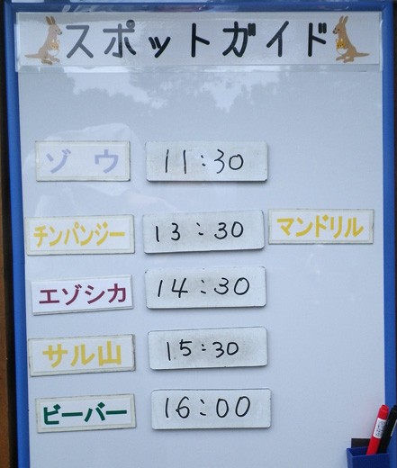 6月20日のスポットガイド