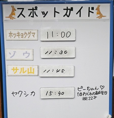 6月24日のスポットガイド