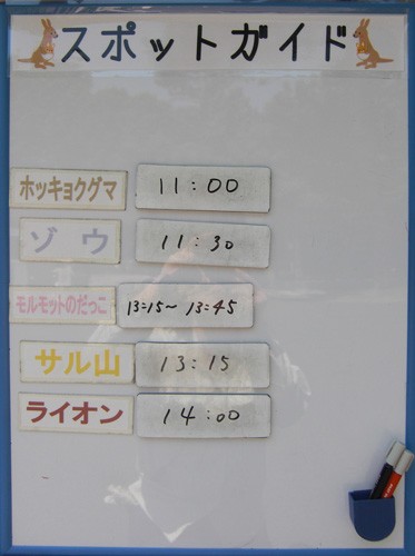 6月26日の予定表