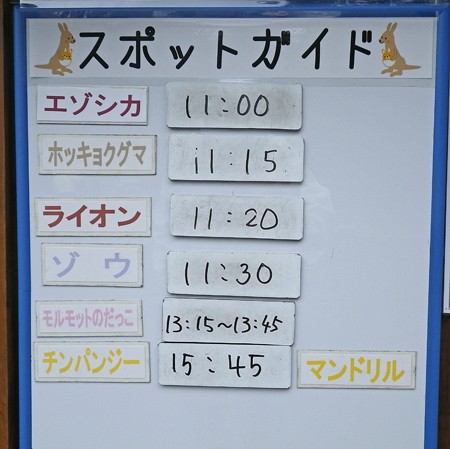 7月2日のスポットガイド