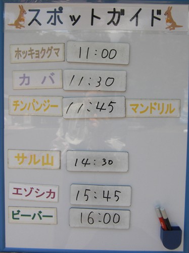 7月26日の予定表