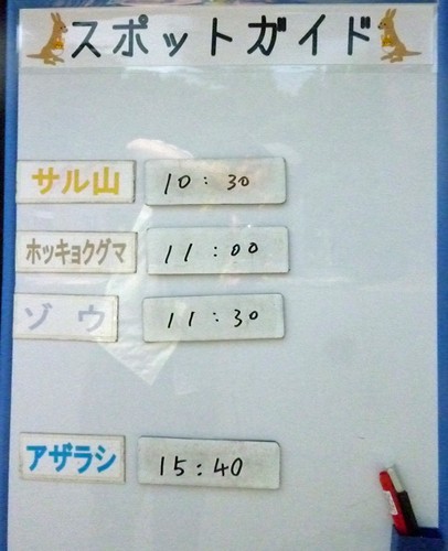 7月28日の予定表