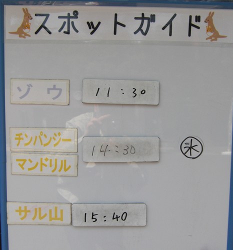 7月29日の予定表