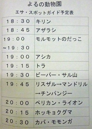 7月29日よるの動物園の予定表