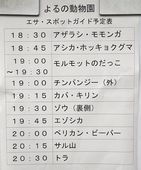 7月30日のよるの動物園のスポットガイド