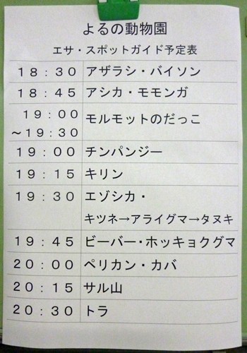 7月31日のよるの動物園の予定表