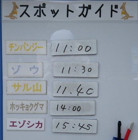 8月5日のスポットガイド