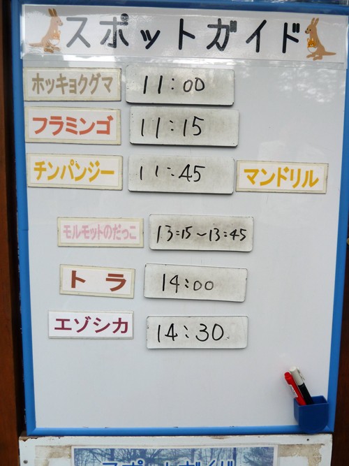 8月20日の予定表