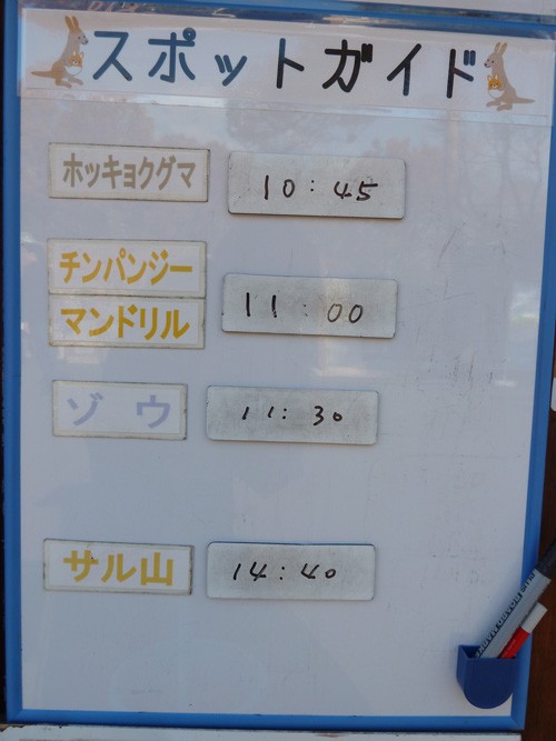 10月31日の予定表