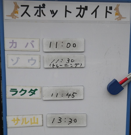 11月2日のスポットガイド