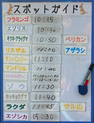 11月3日の予定表