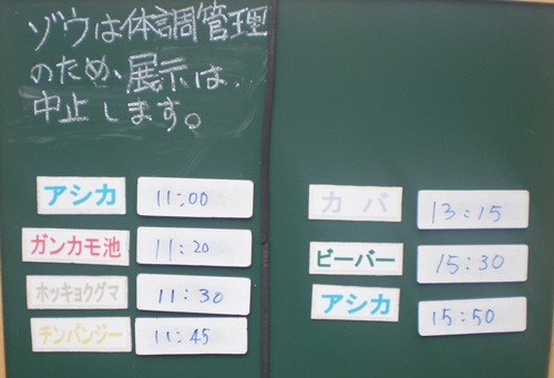 5月11日の予定表