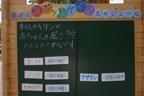 5月31日の予定表