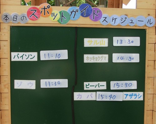 6月5日の予定表