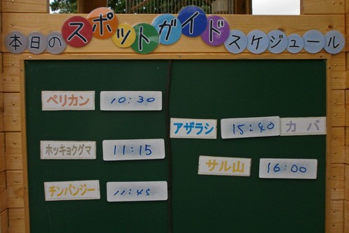 6月11日の予定表