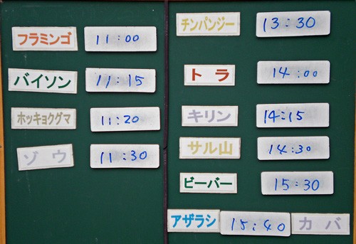 6月16日の予定表