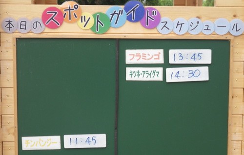 ６月１９日の予定表