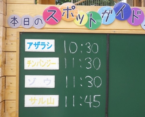 ７月２０日の予定表