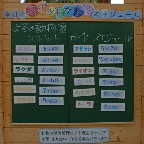 7月28日「よるの動物園」のガイド予定表