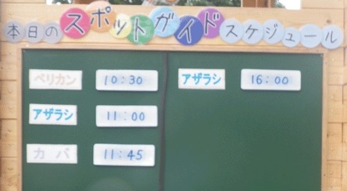 8月11日の予定表