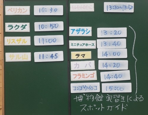 8月26日の予定表