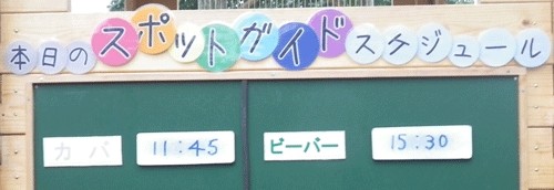 8月29日の予定表